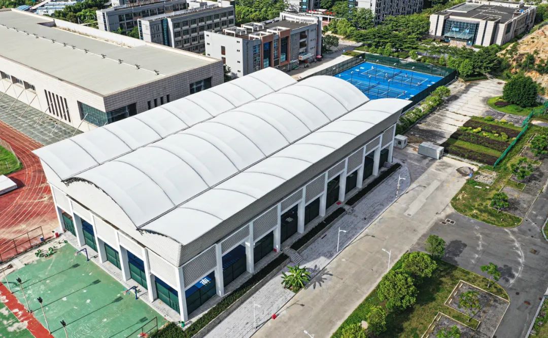 菲律宾举重冠军说了什么_菲律宾运动员举重冠军名单_菲律宾举重队
