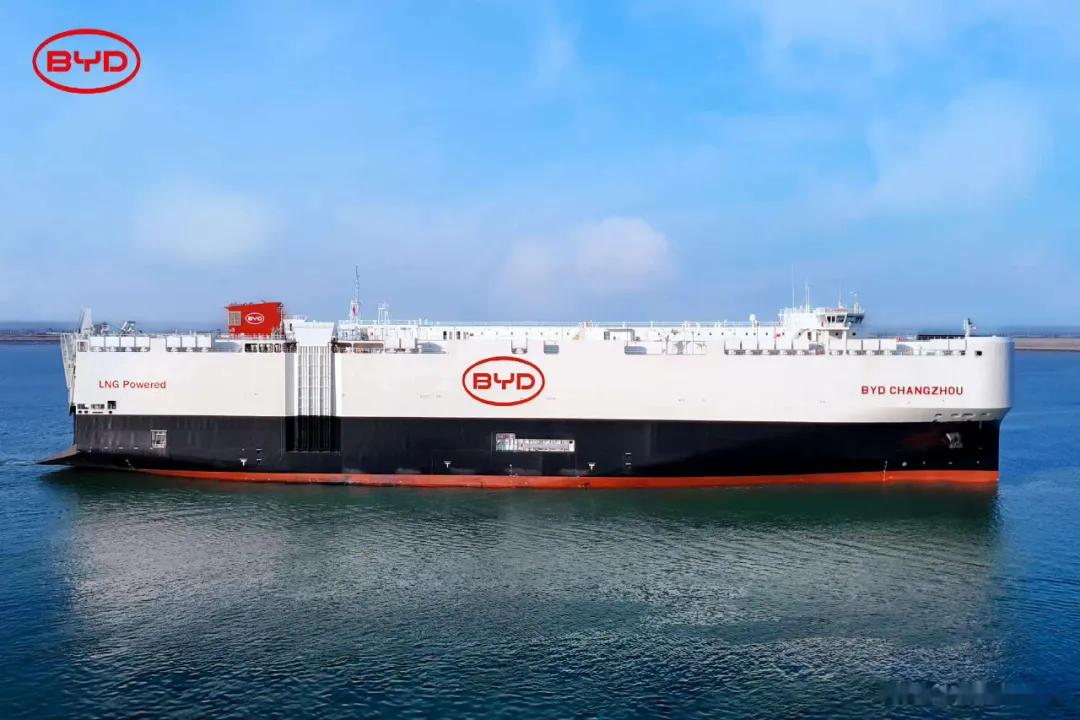 篮球联赛冠军是谁_篮球赛冠军_篮球联赛的冠军是谁