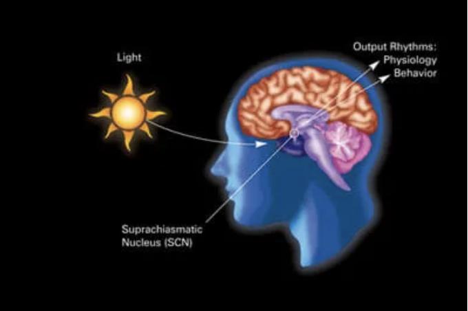 幽幽生活小常识_生活小常识的笑话段子_生活小常识100条简短搞笑