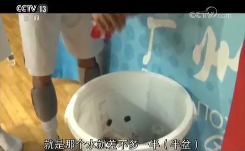 篮球规则运动特点是什么_篮球的规则和运动特点是_简述篮球运动基本规则