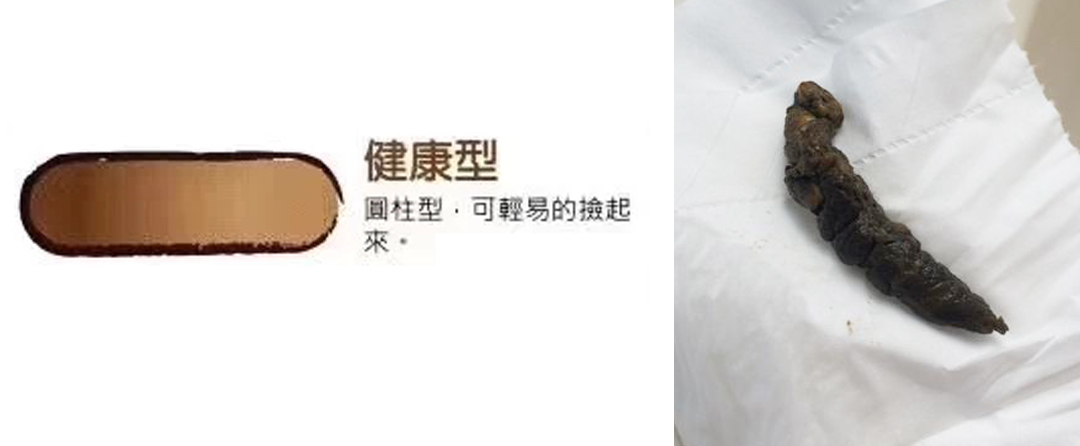 小狗身体健康图片_小狗身体健康的表现_小狗的身体健康
