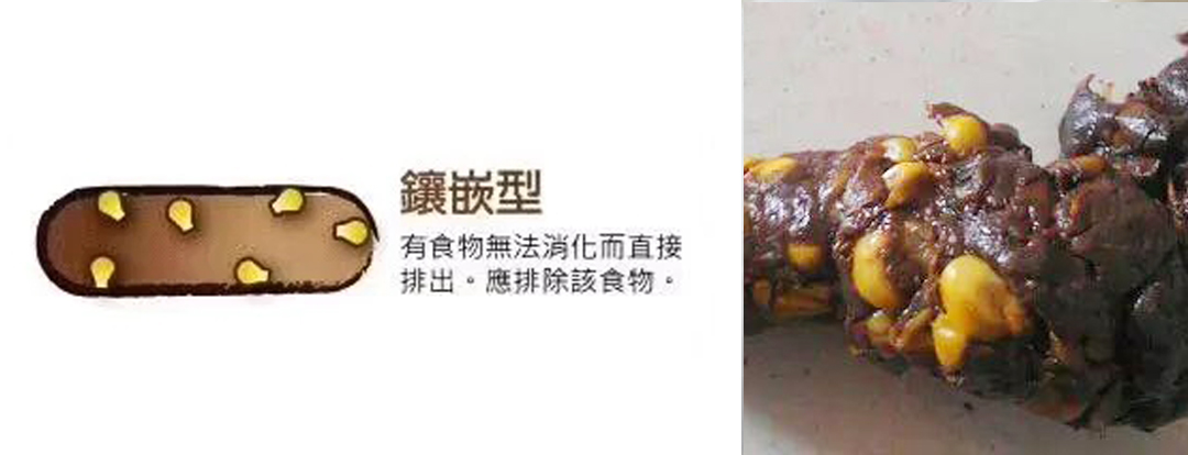 小狗身体健康图片_小狗身体健康的表现_小狗的身体健康
