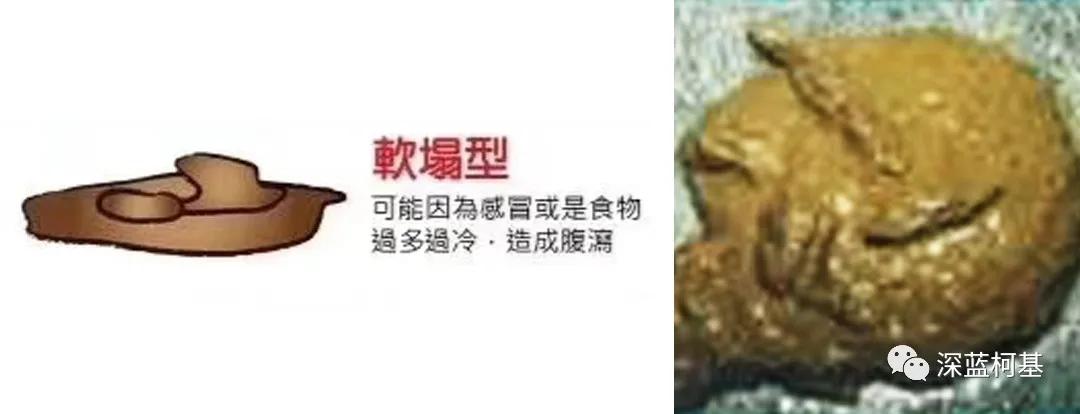 小狗身体健康图片_小狗身体健康的表现_小狗的身体健康