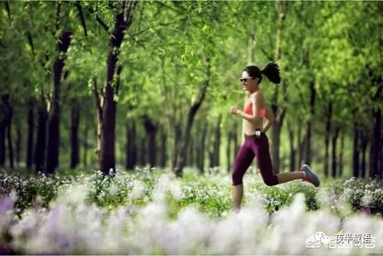 有氧运动养生_氧运动是指哪些运动_冇氧运动