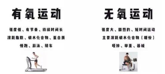运动氧气_有氧运动养生_氧运动是指哪些运动